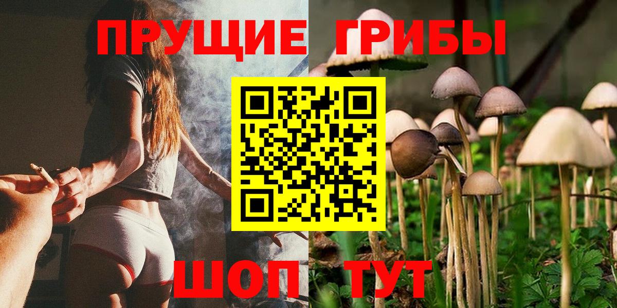Галлюциногенные грибы мицелий  Галлюциногенные грибы прущие грибы  Вход с VPN  Волгоград 